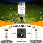 Lampe solaire personnalisée avec nom texte date et fleur - Design de papillon ou pigeon - Cadeau de Toussaint cérémonie funèbre jardinage pour famille