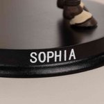 Personalized Cute 3D Photo Horse Riding Figurine with Name Desktop Decoration Birthday Gift for Equestrian Lovers