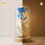 Personalized Name Galaxy Rose Glass Lampshade with Preserved Flower and LED Light Mother's Day Birthday Gift for Woman