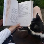 Personalisierter Prägestempel zum Thema Katze und Mond | mit Text und Namen | Prägesiegel wählbar | Geburtstag Geschenk für Buch- und Katzenliebhaber