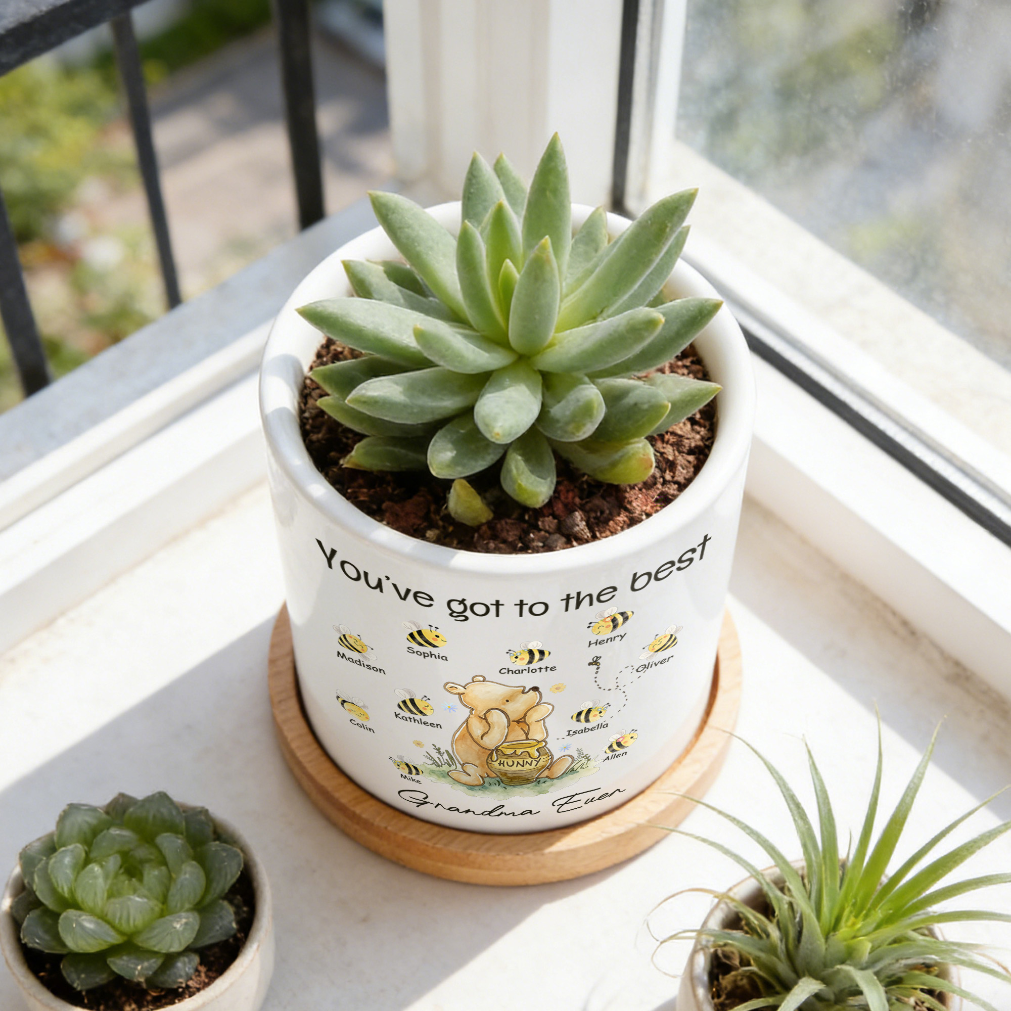 Discover Personalized Classic Winnie the Pooh 1-10 Bees Ceramic Planter Pot with Names and Bamboo Tray Daily Use Mother's Day Gift for Mom Grandma