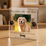 Personlig hund katt tass kjæledyr foto klar akryl plakett med navn og tid hjemmedekorasjon minnesmerke tap av kjæledyr sympati gave til kjæledyrseiere