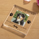 Personlig hund katt tass kjæledyr foto klar akryl plakett med navn og tid hjemmedekorasjon minnesmerke tap av kjæledyr sympati gave til kjæledyrseiere