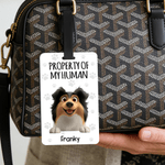 Personalised Property of My Human Cute Cartoon Pet Luggage Tag with Name Travel Accessories Birthday Gift for Pet Owners Travel Lovers