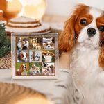 Personalised Pet Paw 6-8 Photos Acrylic Plaque with Name and Initial Home Decor Anniversary Pet Birthday Gift for Cat Dog Owners