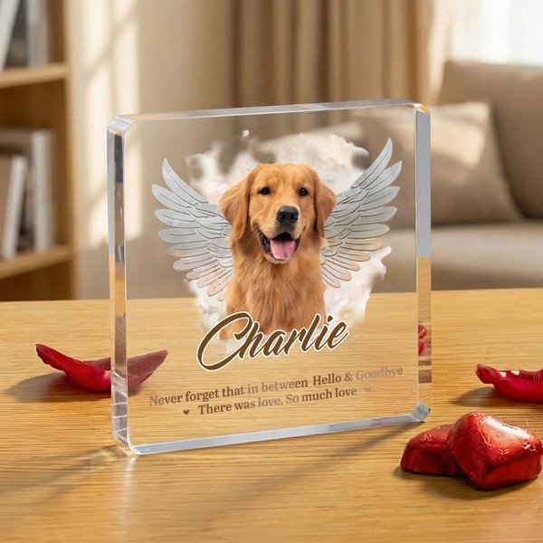 Personalised Angel Wings Pet Photo Acrylic Ornament with Name and Text Home Decor Sympathy Memorial Gift for  Pet Owner Lover