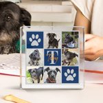 Personalised Pet Paw 6-8 Photos Acrylic Plaque with Name and Initial Home Decor Anniversary Pet Birthday Gift for Cat Dog Owners