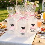 Gorra de Graduación Personalizada Set de 10 Vasos de Plástico Esmerilado Desechables con el Nombre del Año y la Escuela Celebración Fiesta de Graduación Favor para Graduados