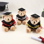 Personlig söt examen nallebjörn plyschleksak med namnår och skolnamn examensgåva för klass 2026-akademiker