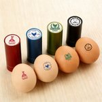 Sello de huevos personalizado de tinta apta para alimentos con silueta de gallina nombre texto y año regalo de cumpleaños para familia o criadores