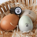 Personalised Chicken Design Name Safe Egg Stamp with Food Grade Ink and Box Birthday Gift for Family Farmer Breeder