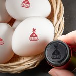 Sello de huevos personalizado de tinta apta para alimentos con silueta de gallina nombre texto y año regalo de cumpleaños para familia o criadores