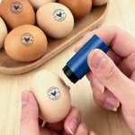 Sello de huevos personalizado de tinta apta para alimentos con silueta de gallina nombre texto y año regalo de cumpleaños para familia o criadores