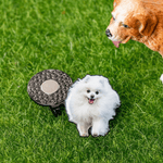 Photo personnalisée Marqueur de balle de golf Clip magnétique pour chapeau avec nom Utilisation sur le terrain Anniversaire Journée de jeu Cadeau pour les amateurs de golf