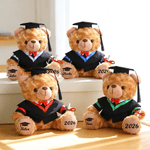 Personalised Graduation Cap Bachelor's Gown Plush Stuffed Teddy Bear with Year and Name Graduation Party Ceremony Gift for Graduates
