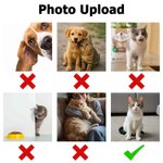 Personalized Chinese Ink-Wash Style Pet Photo Canvas Poster Frameless Framed Painting Room Decor Birthday Gift for Friend Pet Owner