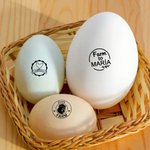 Un sello único para un huevo especial - Sello de huevos personalizado de tinta con nombre texto y año regalo de cumpleaños para familia o criadores