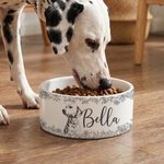 Gamelle personnalisée en céramique avec nom et photo d'animal de compagnie Cadeau d'anniversaire pour les amoureux des animaux de compagnie