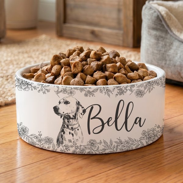 Gamelle personnalisée en céramique avec nom et photo d'animal de compagnie Cadeau d'anniversaire pour les amoureux des animaux de compagnie