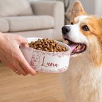 Gamelle personnalisée en céramique avec nom et photo d'animal de compagnie Cadeau d'anniversaire pour les amoureux des animaux de compagnie