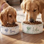 Gamelle personnalisée en céramique avec nom et photo d'animal de compagnie Cadeau d'anniversaire pour les amoureux des animaux de compagnie