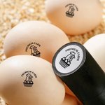 Personalized Chicken Design Name Safe Egg Stamp with Food Grade Ink and Box Birthday Gift for Family Farmer Breeder