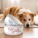 Gamelle personnalisée en céramique avec nom et photo d'animal de compagnie Cadeau d'anniversaire pour les amoureux des animaux de compagnie