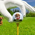 Personalized Cute Cartoon Pet Character Photo Golf Ball with Name Birthday Anniversary Game Day Gift for Golf Lovers