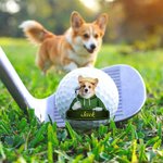 Personalized Cute Cartoon Pet Character Photo Golf Ball with Name Birthday Anniversary Game Day Gift for Golf Lovers