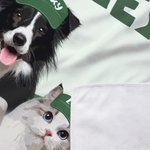 Personalizzato Golf Classic Elements Watercolor Style Pet Photo Golf Cart Seat Cover with Name Team Birthday Gift for Golf Player Pet Owner