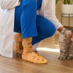 Personalized Cute Cat Stethoscope Pet Cage Bone Pattern Mid-Calf Soft Socks with Name Casual Daily Wear Fun Friday Gift for Veterinarians