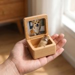 Scatola di legno personalizzata con nome inciso e bottiglia di vetro Avatar di cane e gatto in 3D Regalo commemorativo di compleanno per la perdita di animali domestici