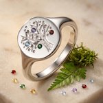 Personalisierter Stammbaum Siegelring mit 1–8 Geburtssteinen | Lebensbaum-Ring | Sterlingsilber | Schmuck | Geburtstag Muttertag Geschenk für Mama Oma
