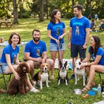 Personalized Pet Photo Multicolour Adult T-shirt Sweatshirt with Name Daily Wear Pet Party Birthday Gift for Pet Owner Lover