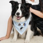 Personalised A Day in the Life of a Pet Funny Photo Illustration Multicolor Soft Pet Bandana with Name Daily Use Birthday Pet Party Gift for Pet