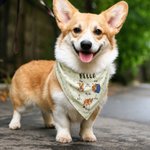 Personalised A Day in the Life of a Pet Funny Photo Illustration Multicolor Soft Pet Bandana with Name Daily Use Birthday Pet Party Gift for Pet
