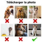 Marqueur de balle de golf magnétique personnalisé avec photo d'animal et nom - Cadeau d'anniversaire pour amateurs de golf et amoureux des animaux