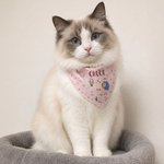 Personalised A Day in the Life of a Pet Funny Photo Illustration Multicolor Soft Pet Bandana with Name Daily Use Birthday Pet Party Gift for Pet