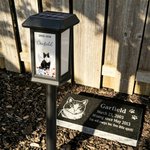 Personalized Pet Photo Flower Rainbow Angel Wing Solar Garden Light with Name and Date Garden Decor Memorial Sympathy Gift for Family Pet Owner