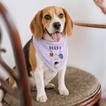 Personalised A Day in the Life of a Pet Funny Photo Illustration Multicolor Soft Pet Bandana with Name Daily Use Birthday Pet Party Gift for Pet