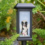 Personalized Pet Photo Flower Rainbow Angel Wing Solar Garden Light with Name and Date Garden Decor Memorial Sympathy Gift for Family Pet Owner