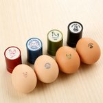 Personalized Chicken Design Name Safe Egg Stamp with Food Grade Ink and Box Birthday Gift for Family Farmer Breeder