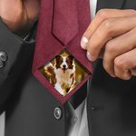 Personalised Pet Photo Patch Tie with Name and Gift Box Birthday Anniversary Father's Day Gift for Man Pet Lover