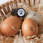 Personalized Chicken Design Name Safe Egg Stamp with Food Grade Ink and Box Birthday Gift for Family Farmer Breeder