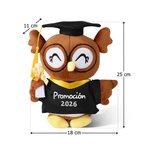 Peluche de búho personalizado con birrete toga texto y año recuerdo regalo de graduación para graduados y compañeros de clase