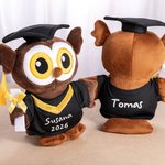 Peluche de búho personalizado con birrete toga texto y año recuerdo regalo de graduación para graduados y compañeros de clase