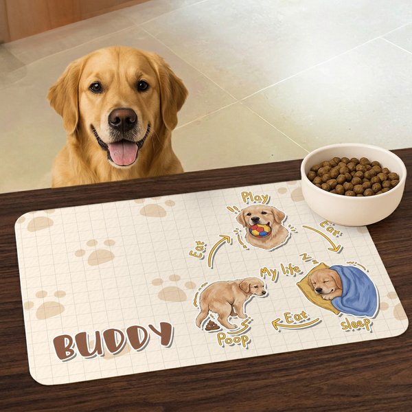 Tapis d'alimentation personnalisé en cuir PU avec nom Fournitures pour animaux Cadeau d'anniversaire pour les propriétaires de chiens