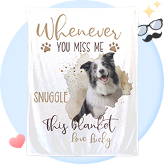 For Pet Lovers