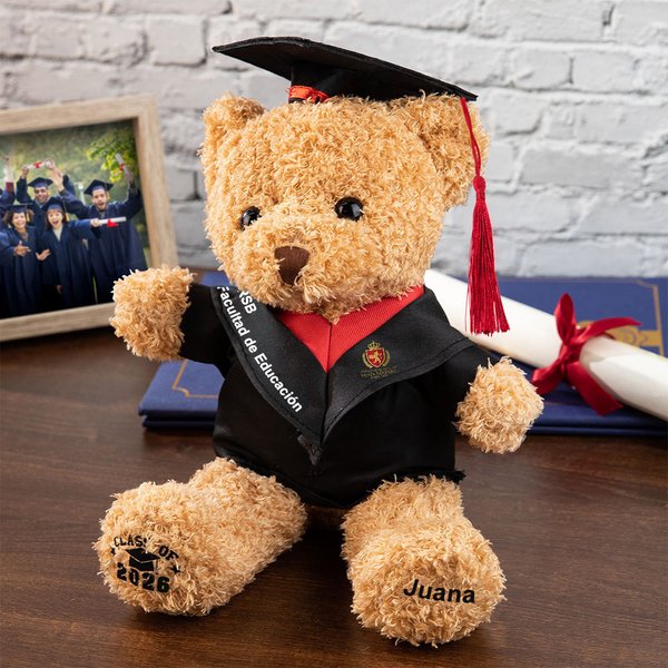 Oso de peluche graduación personalizado con birrete escudo escolar y nombre promoción 2026 regalo de graduación para niños graduados