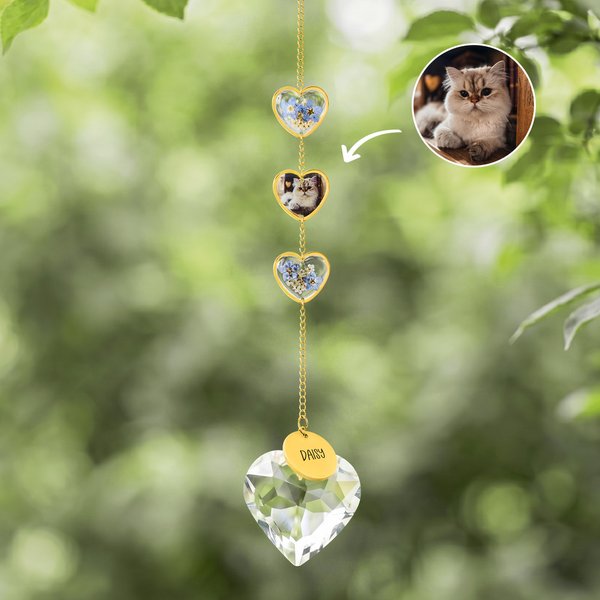 Personalisierte Forget-Me-Not Foto Herz Kristall Haustier Memorial Windspiel mit Namen Memorial Ornament Sympathie Jahrestag Geschenk für den Verlust von Haustier